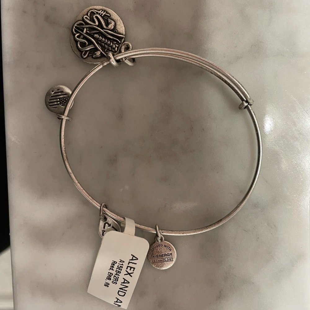 Alex and Ani Medicine Bangle NWT